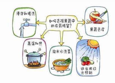 如何減少農(nóng)藥污染去除農(nóng)藥殘留？振華化工總結(jié)以下幾點分享給大家